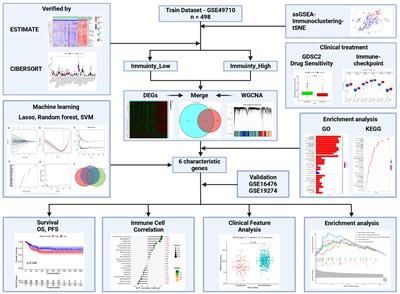 Identification of novel markers for neuroblastoma immunoclustering using machine learning